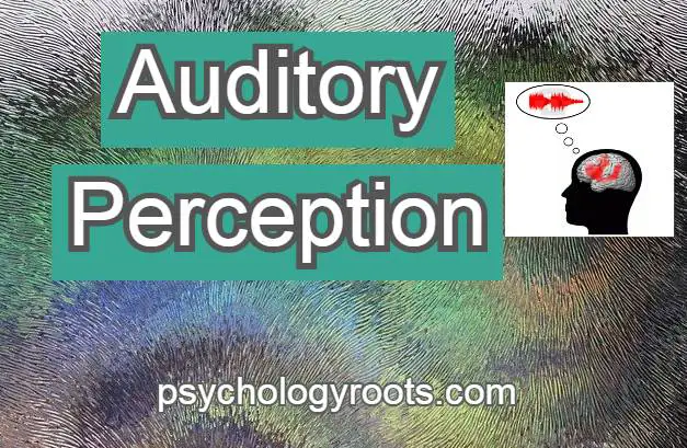 Auditory Perception