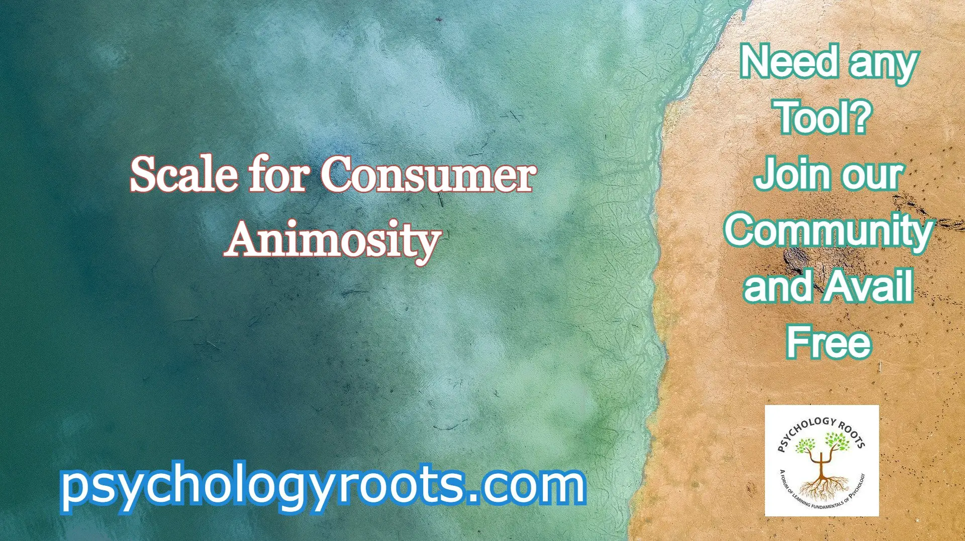 Scale for Consumer Animosity