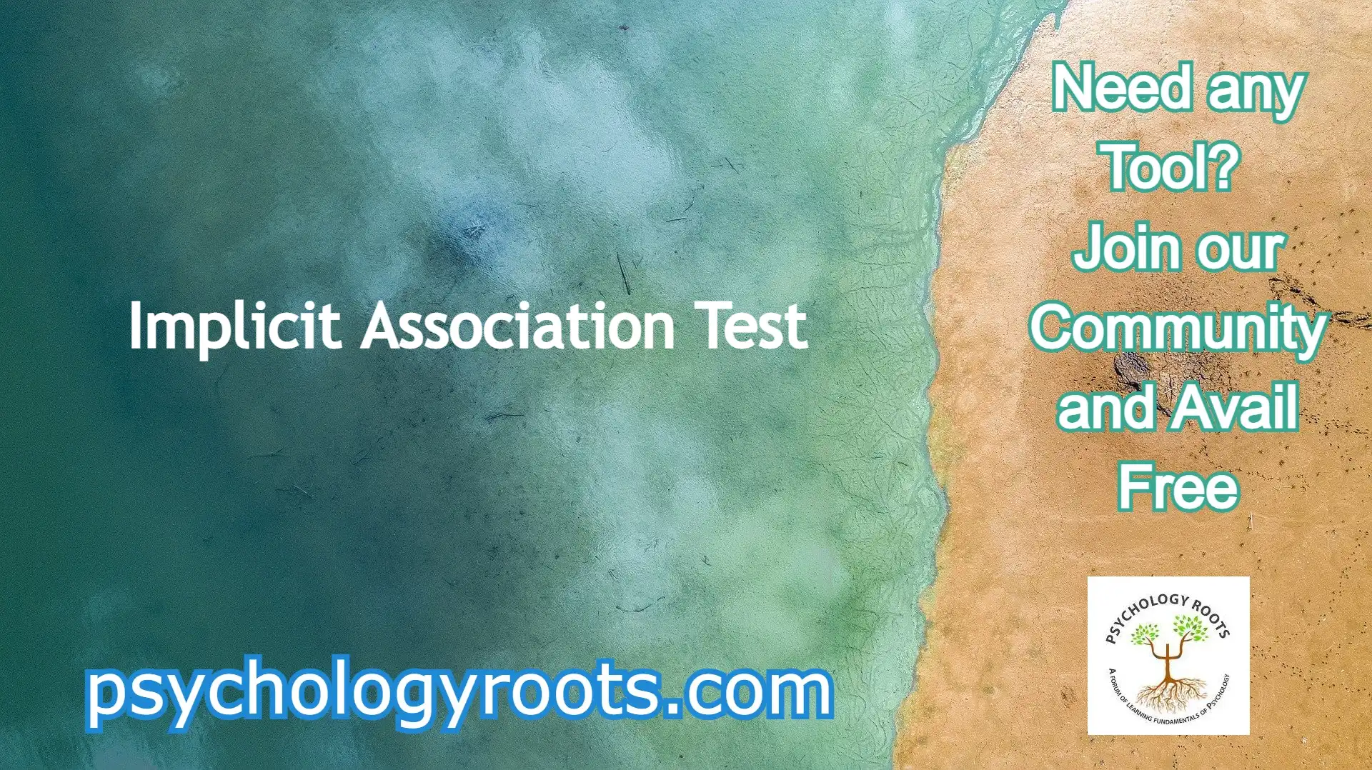 Implicit Association Test