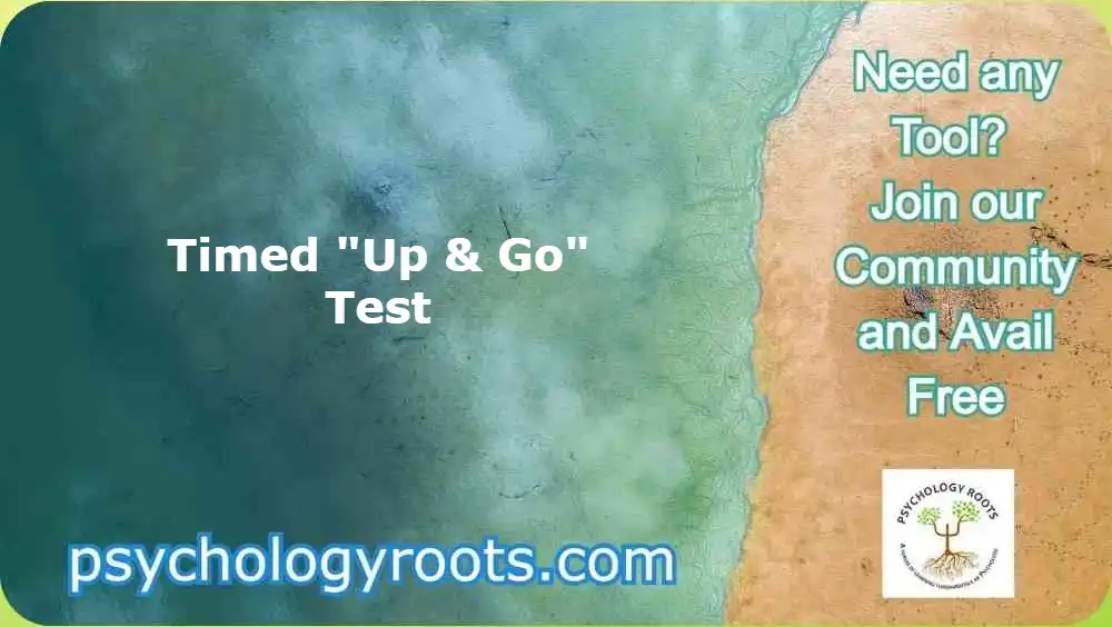 Timed &ldquo;Up and Go&rdquo; Test
